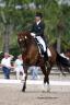 Courtney King and Idocus win USEF HP Grand Prix Freestyle, a Susan Stickle Photo
